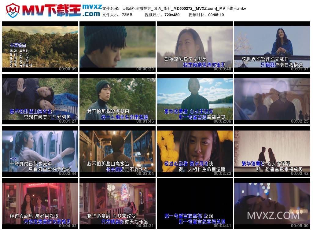 吴晓欣-幸福誓言_国语_流行_MD500272